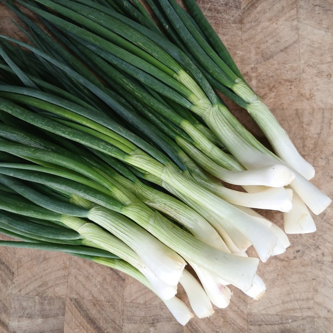 [농수산 장터] 깐쪽파 300g 500g 1kg, 1개