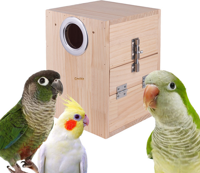 코뉴어 앵무새 외부 둥지 알통 나무집 좌우형 왕관앵무 퀘이커, 좌측문, 1개
