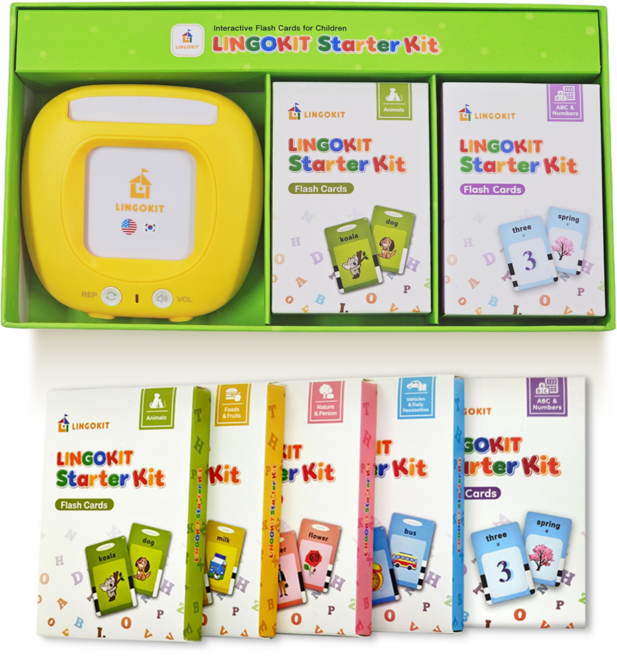 영어 한글 말하는 낱말카드 링고키트 알파벳 숫자 동물 사물 자동차 384 단어 2025 신제품, 1개