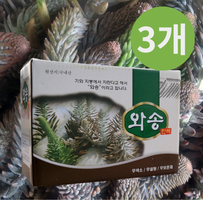 국내산 엄마애손 생와송즙 와송즙 1박스100ml 60포 와송진액 액기스 와송1005, 3개