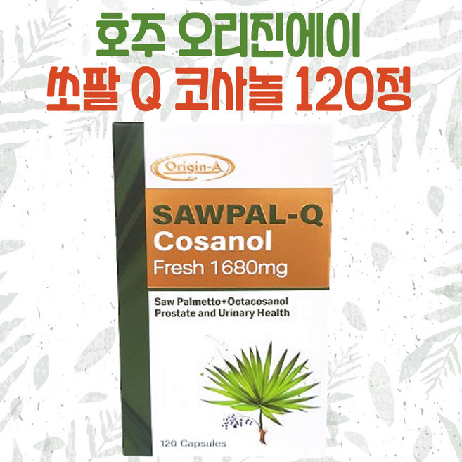 호주 오리진에이 쏘팔 Q 코사놀 120정 쏘팔메토 폴리코사놀, 1개