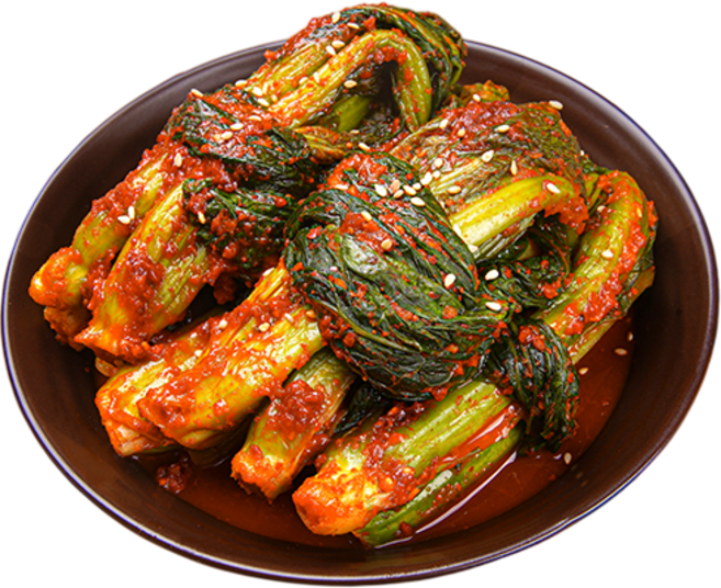 [백화점 납품용] 톡 쏘는 매운맛 프리미엄 국내산 여수 갓김치, 1개, 5kg