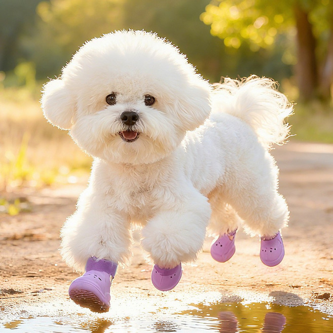 春夏新款狗狗涼鞋 狗狗洞洞鞋 eva小狗透氣鞋