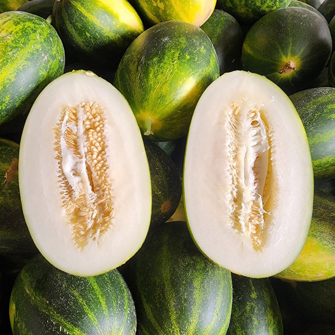 청담농수산 꿀당도 정품 파파야 메론, 1개, 2kg (k당 2-6과)