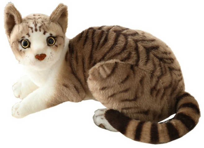 스토리원 리얼 고양이 인형, 고등어(눕냥), 25cm, 1개