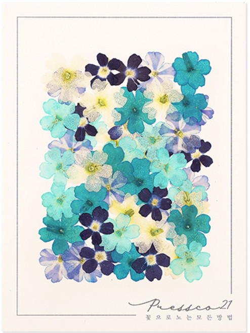 프레스코21 압화 꽃송이 누름꽃 조화 만들기 압화재료 공예 혼합꽃팩 마가렛, 버베나(파랑혼합)