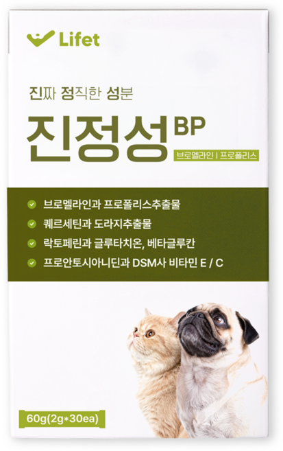 진정성 호흡기 영양제 강아지 고양이 기침 감기 기관지 협착증 거위소리, 1개, 호흡기/기관지, 30회분