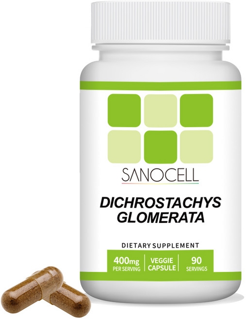 사노셀 다이크로스타키스글로메라타 추출물 캡슐 직구, 1개, 90정