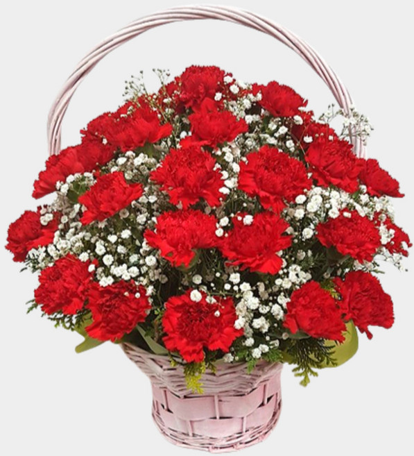 꽃뜨랑 카네이션꽃바구니 어버이날 스승의날 축하꽃배달서비스, A06 안개카네이션