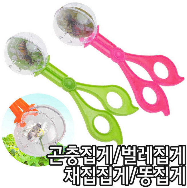 곤충사냥을 떠나자! 곤충집게(중) / 탐구학습 관찰일지 잠자리채집 벌레집게 똥집게