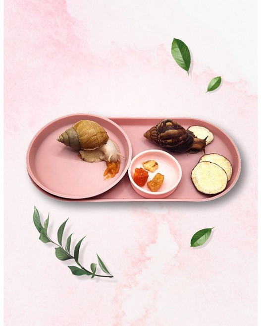 6가지 사료 그릇 원형 타원형 세트 달팽이 먹이 트레이, 크림, 긴 트레이 타원형, 1개