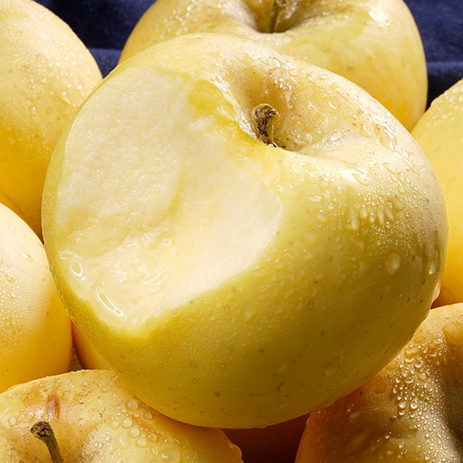 [슈퍼특가] 꿀맛폭발 시나노 골드 사과, 1세트, 5kg