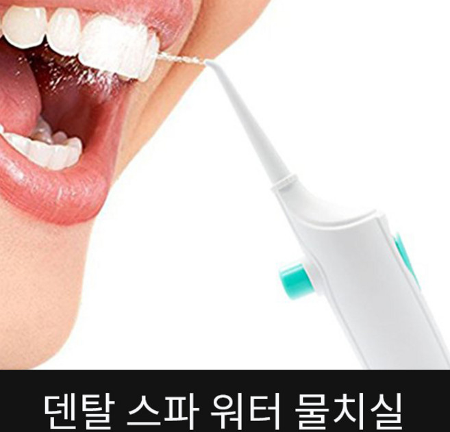 덴탈 스파 워터 플로스 물치실 구강세정기 치실, 1개, 1개입