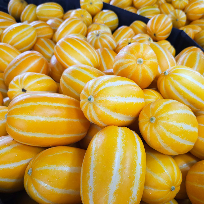 [타임특가] 꿀맛 고당도!! 아삭 달콤 성주참외, 1박스, 성주 참외 2kg (소/10-16과)