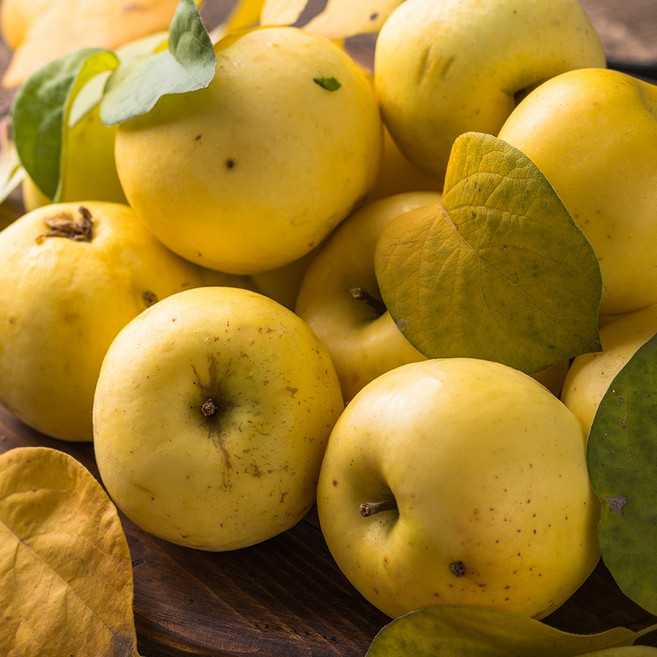 가정용 안동 시나노골드 사과, 1개