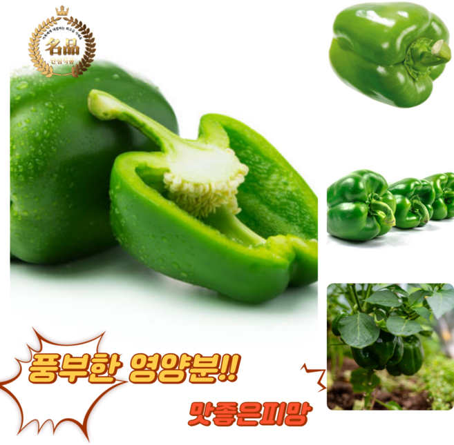 [굿피플] 청피망 청파프리카 초록피망 파프리카 피망 피망파프리카 못난이청피망 홍피망, 1박스, 청피망 3kg [특품]
