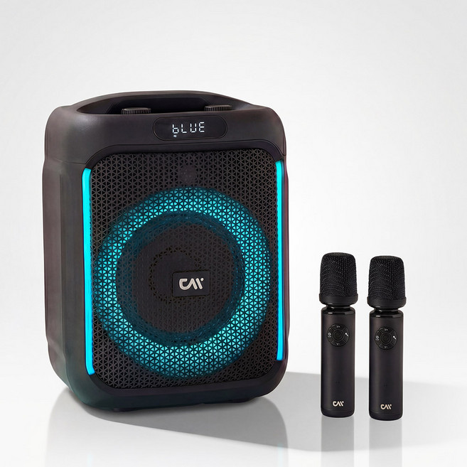 더씽 블루투스 스피커 무선 마이크 휴대용 노래방 강의용 행사용, M330W-A