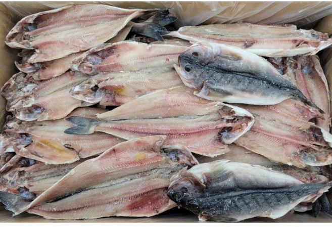 손질 임연수 대용량 7kg, 1박스, 임연수 35미 전후(미국산)