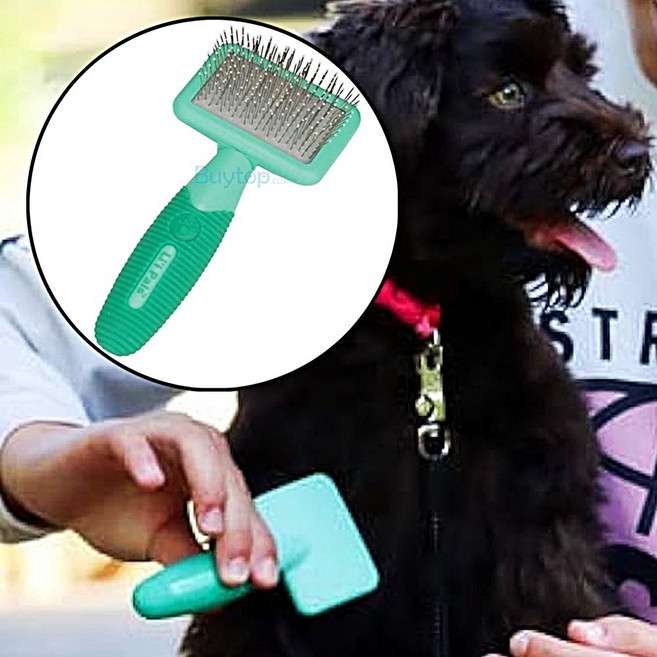 코스탈펫 브러쉬 반려동물 펫 슬리커 털 제거 빗, 1개, 그린