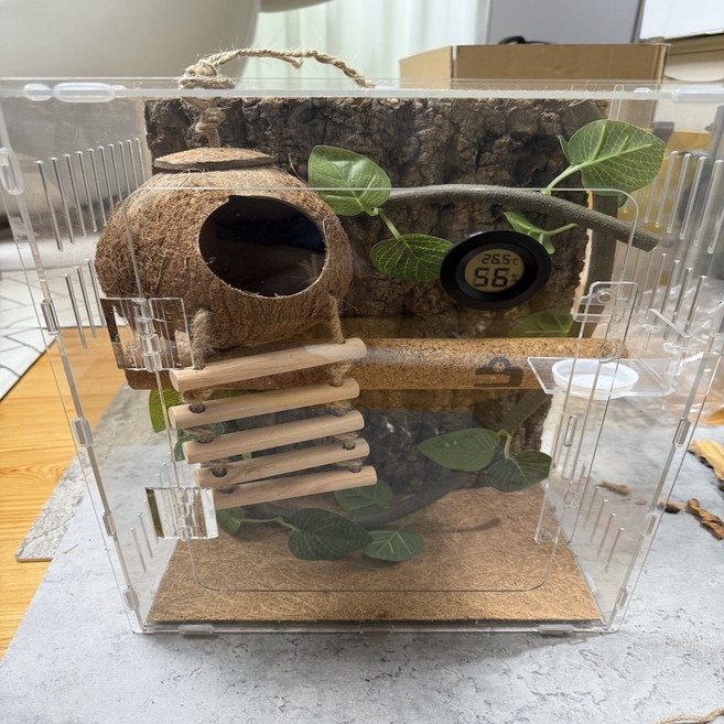 정하남 크레스티드 게코 도마뱀 사육장 세트, 1개, 대(30x30x40) 사육장 세트+코코넛사다리