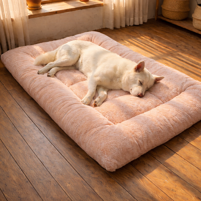 멍담 강아지 대형 방석 대형견 푹신 쿠션, 1개, 살구