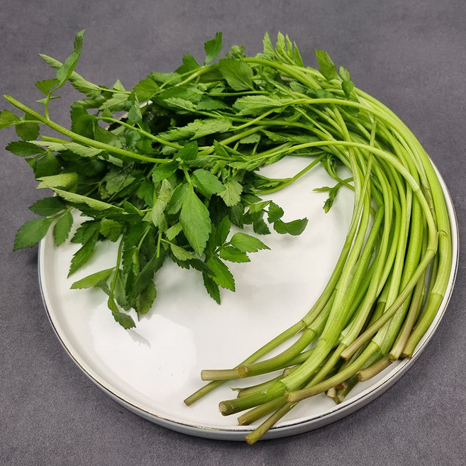 당일수확 경북 청도 무농약 한재 미나리 돌미나리, 1세트, 1kg