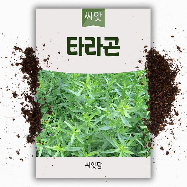 타라곤 씨앗 2000립 허브 프랑스요리 향신료 허브 종자 키우기