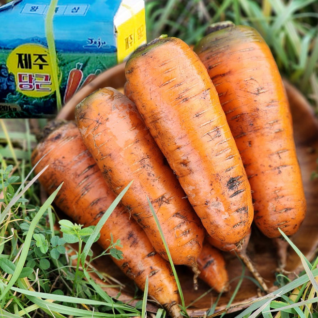국내산 울팜 제주 햇당근 흙당근 당근, 1개, 흙당근1kg(중),100g내외