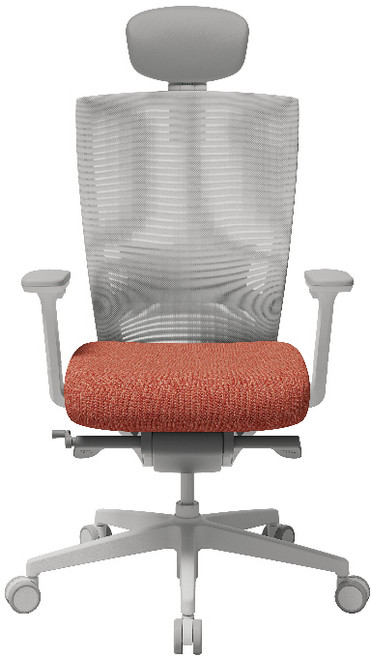 SIDIZ T50 人體工學椅 辦公電腦椅 多功能調節 久坐舒適, 白框珊瑚紅