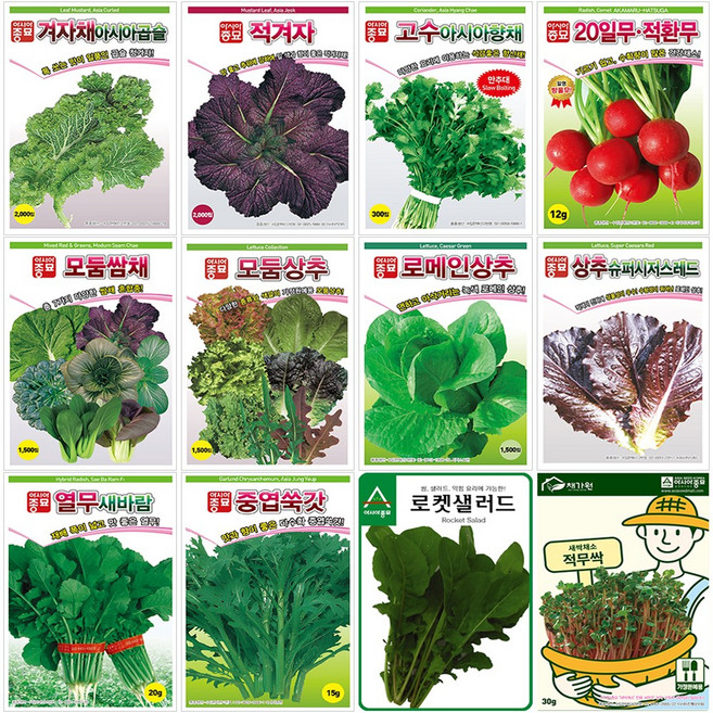쌈채소 잎채소 상추 여름 씨앗 모음 루꼴라 케일 청경채 치커리 청상추 시금치, 25.맛짱케일, 1개