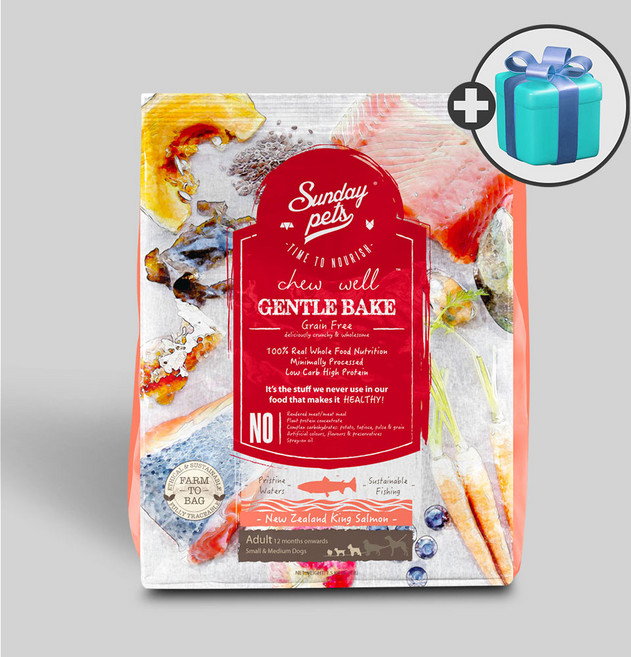 선데이펫 젠틀베이크 오븐베이크 사료 연어 + 국산 가수분해간식 400g, 1.3kg, 1개