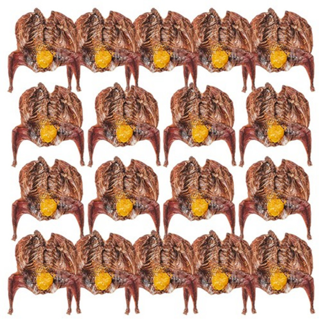 펫쉴드 강아지 수제간식 알 품은 통 메추리, 1개, 450g