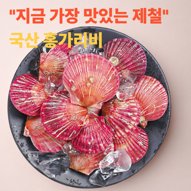 품절대란 통영 산지직송 홍가리비 특품, 1박스, 3kg