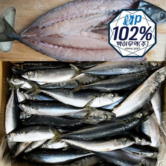 직수입 중국산 고등어 9.5kg(43마리내외), 1개, 9.5kg