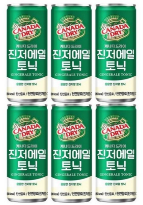 캐나다드라이 진저에일, 250ml, 6개