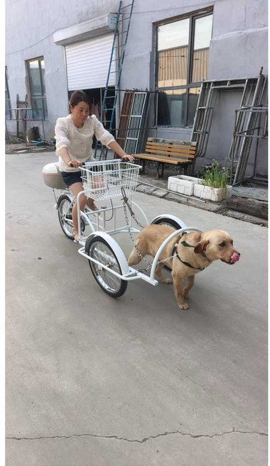 접이식 역삼륜 자전거 구루마 농업용 세발자전거 짐칸, 1개, 화이트 100x60 화물박스