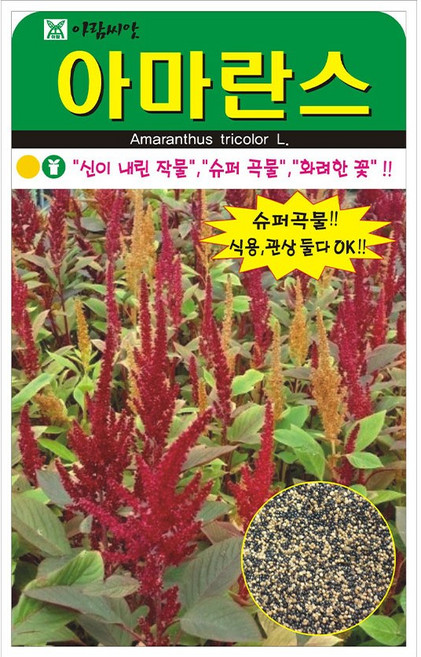 아람종묘 아마란스 꽃 씨앗 4000립, 3개