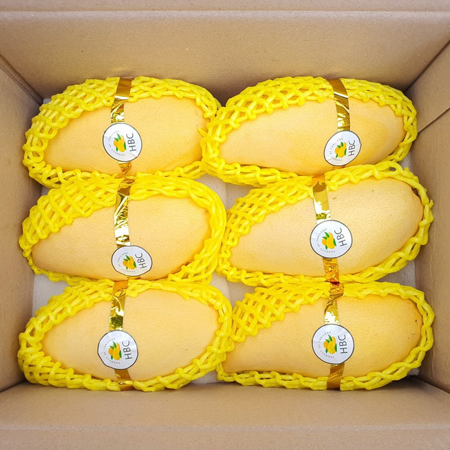 [재구매율 1위] 태국 남독마이 골드 망고, 1박스, 2kg (6과 내외)