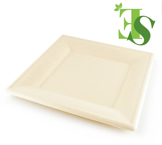 SP-03 친환경 사각접시 펄프 일회용 접시 트레이 50개, 1개