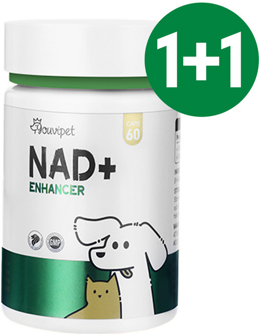 유비펫 프리미엄 NMN 강아지 항산화 영양제 노령견 심장 신장 관절 기관지 1+1, 1개, 면역/항산화, 60정