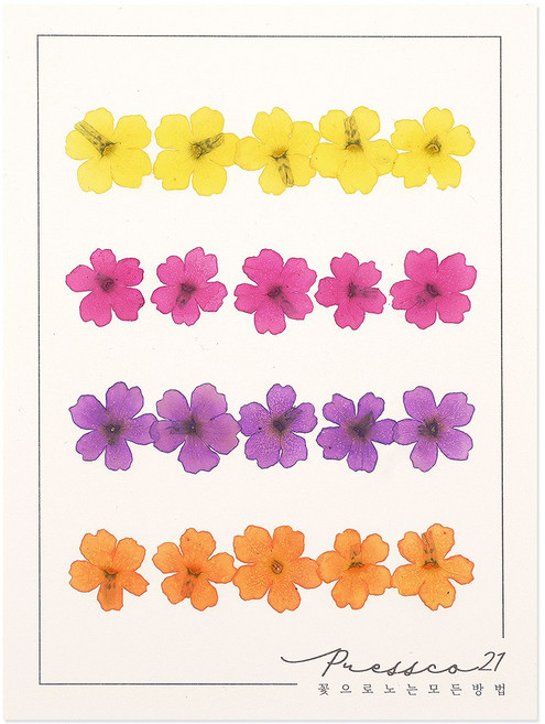 프레스코21 압화 꽃송이 버베나(4색) 20p