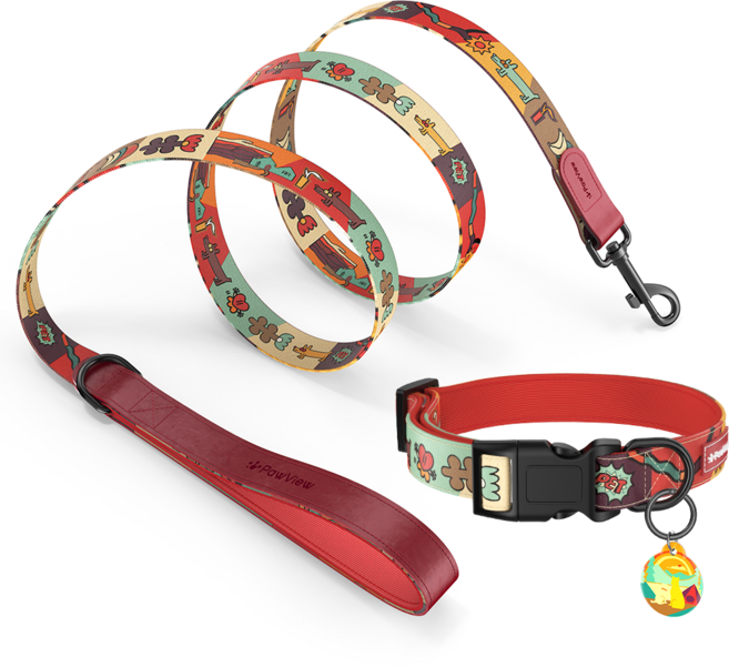 포뷰 타임 시리즈 목줄+리드줄+분실방지 태그 세트, 일출