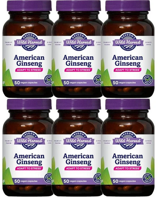 오레곤스 와일드 하베스트 아메리칸 인삼, 6개, 50정 - 쿠팡