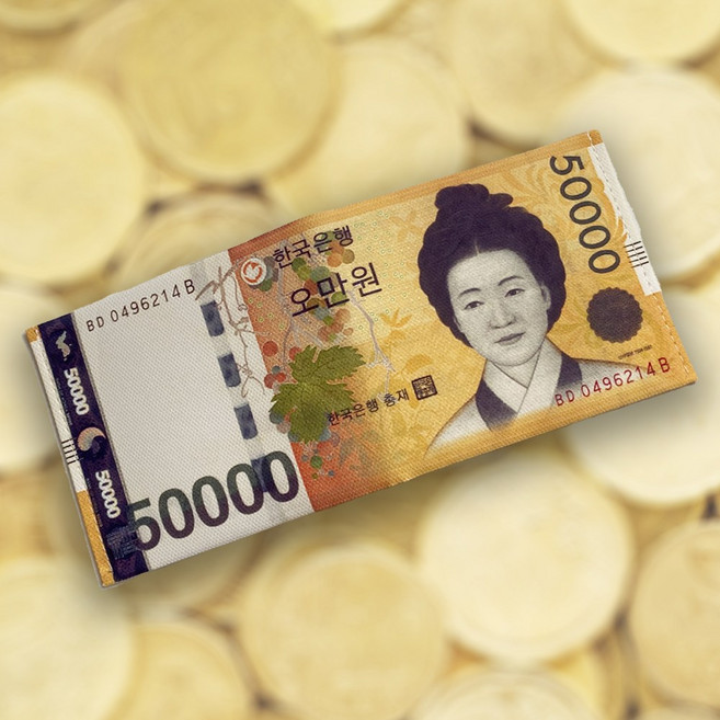 프린트 지폐 현찰 라운딩 골프지갑 용돈봉투