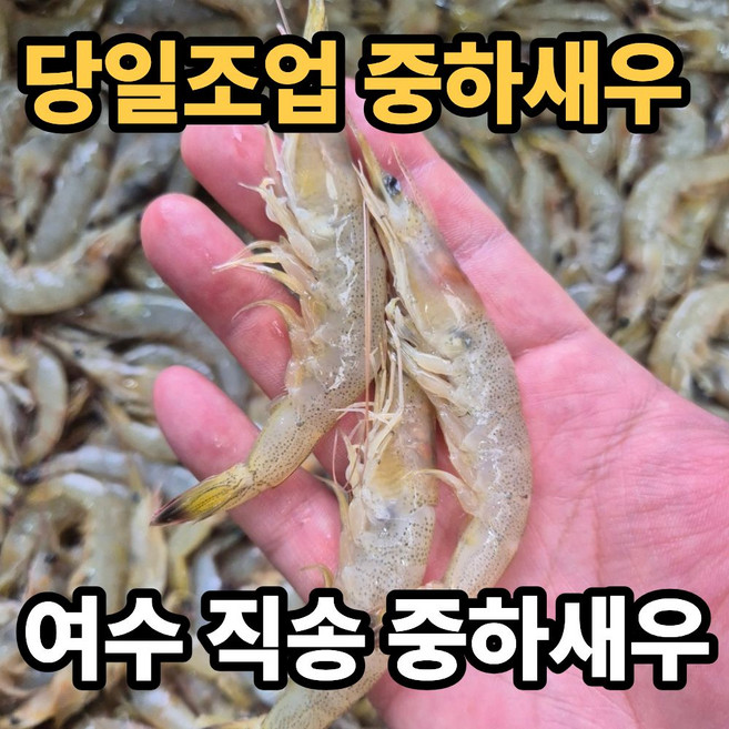 [여수] 당일조업 급냉 중하새우, 1박스, 2kg