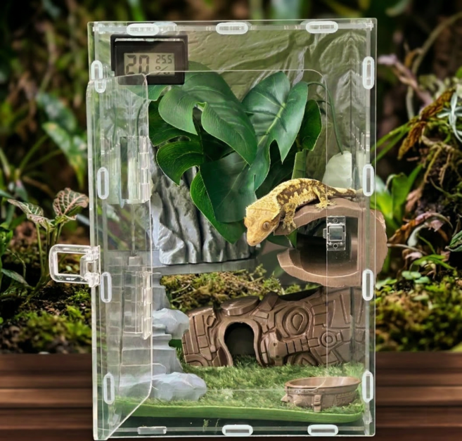 테라돔 도마뱀 사육장 아크릴 세트 게코 크레 은신처 파충류 토템하우스