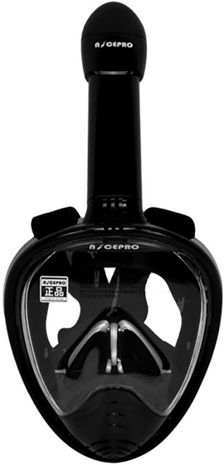 나이스프로 풀페이스 스노쿨링 마스크, 블랙