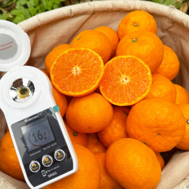 산지직송 카라카라 제주 오렌지 카라향, 1박스, 2kg