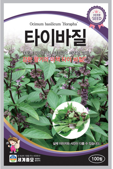 모칸도 세계종묘 허브씨앗 타이바질 100립, 2개