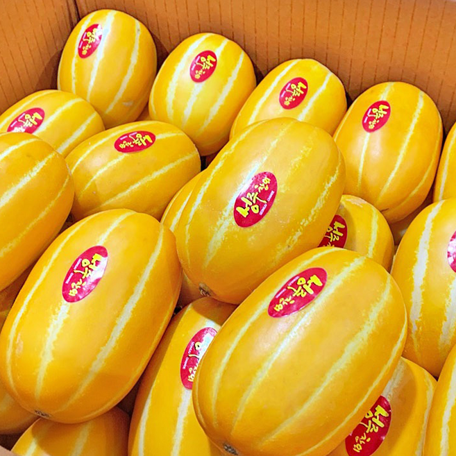 [재구매1등]허니삼구 특품 아삭아삭 꿀 참외 2.5kg내외 5kg내외 10kg내외, 1박스, 참외2.5KG내외(10-13과)로얄과